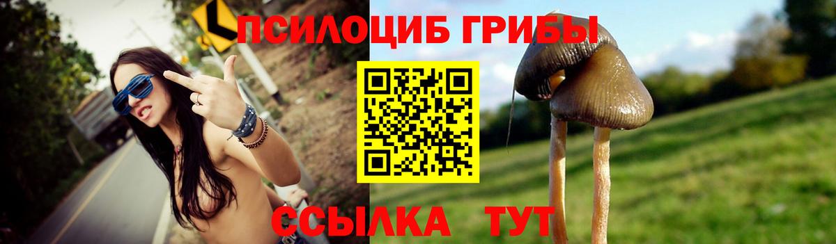 Архангельск  Галлюциногенные грибы мицелий  Галлюциногенные грибы прущие грибы  Вход с VPN 