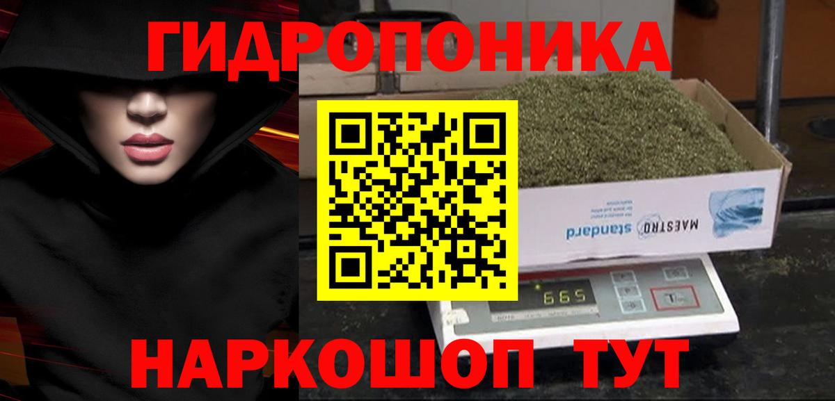 Конопля сатива  Конопля план  Архангельск  Вход с VPN  Бошки марихуана тримм  Канабис White Widow 